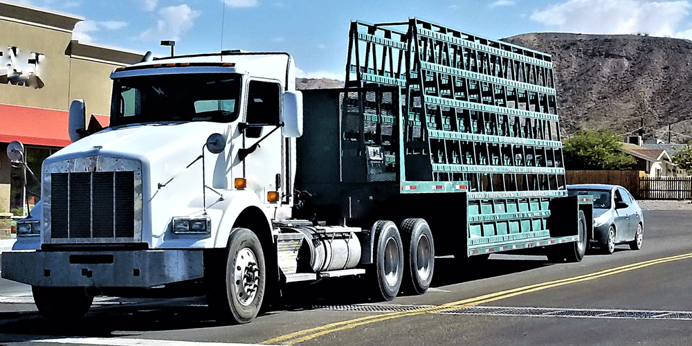 Big rig driving in front of a store.