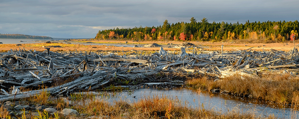 International-Shipping-Logjam_Cover-Photo