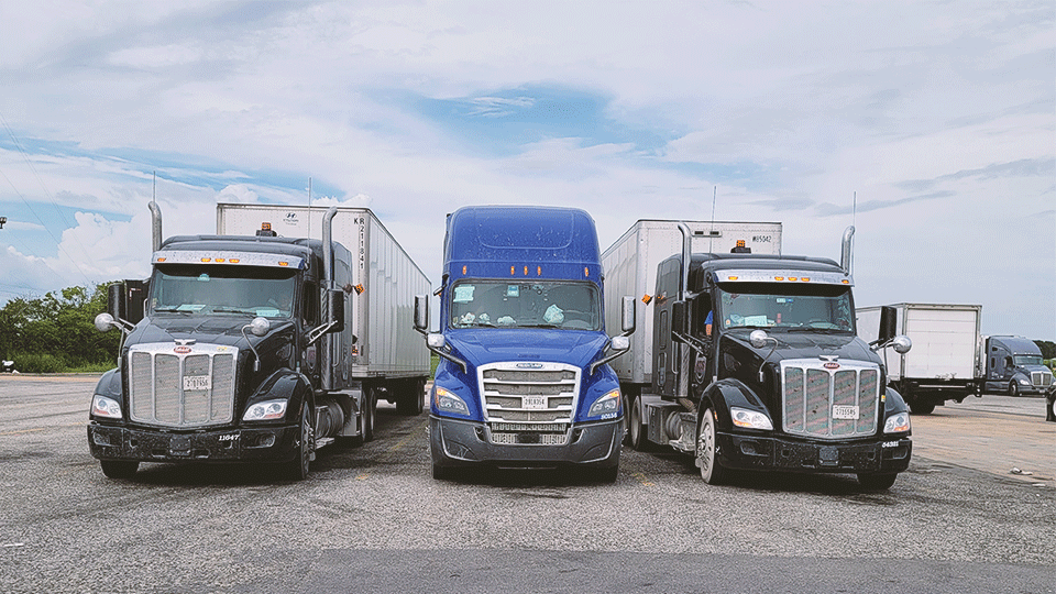 Three-truck-drivers-on-project